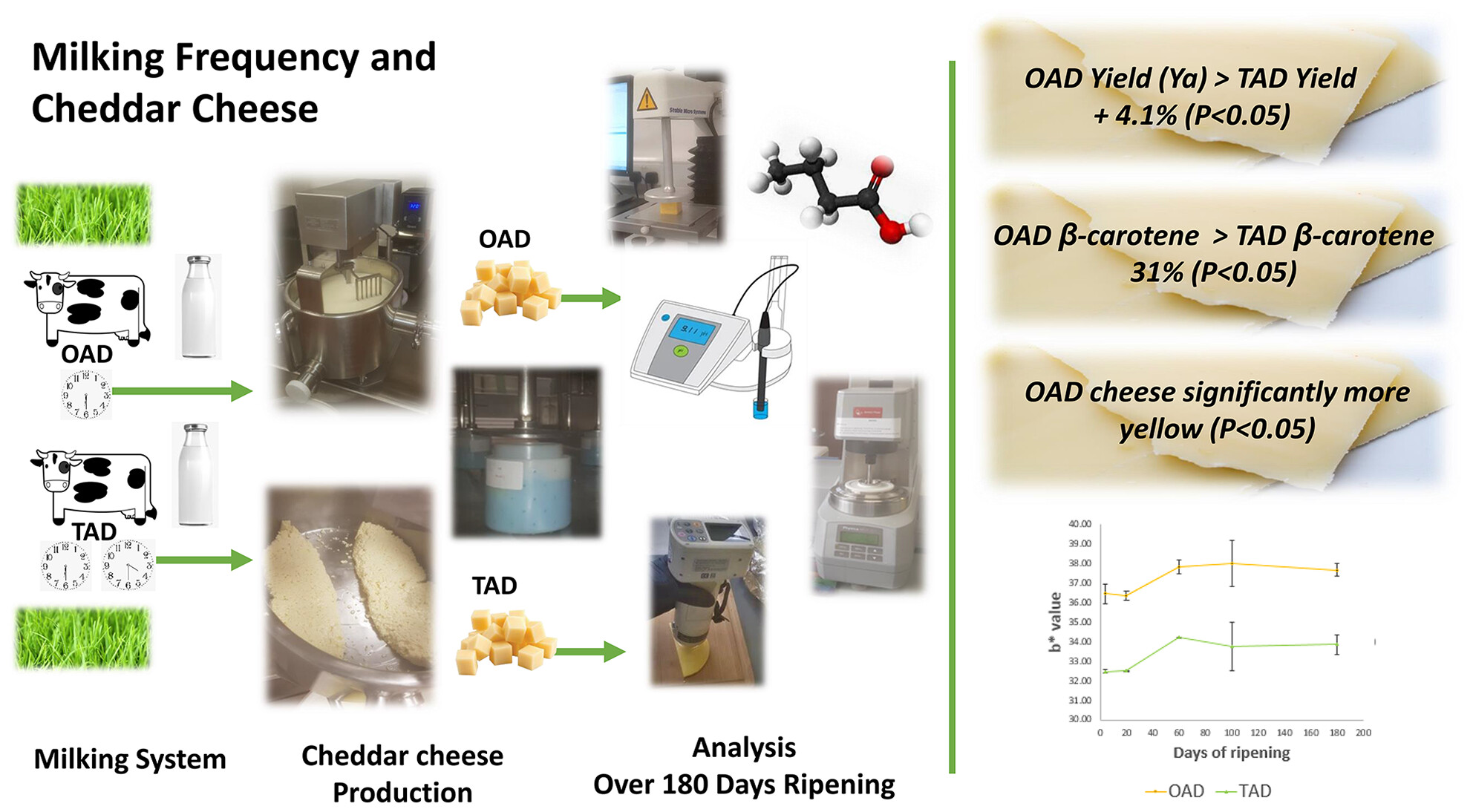 The impacts of milking frequency on nutrient composition and functional characteristics of Cheddar cheese