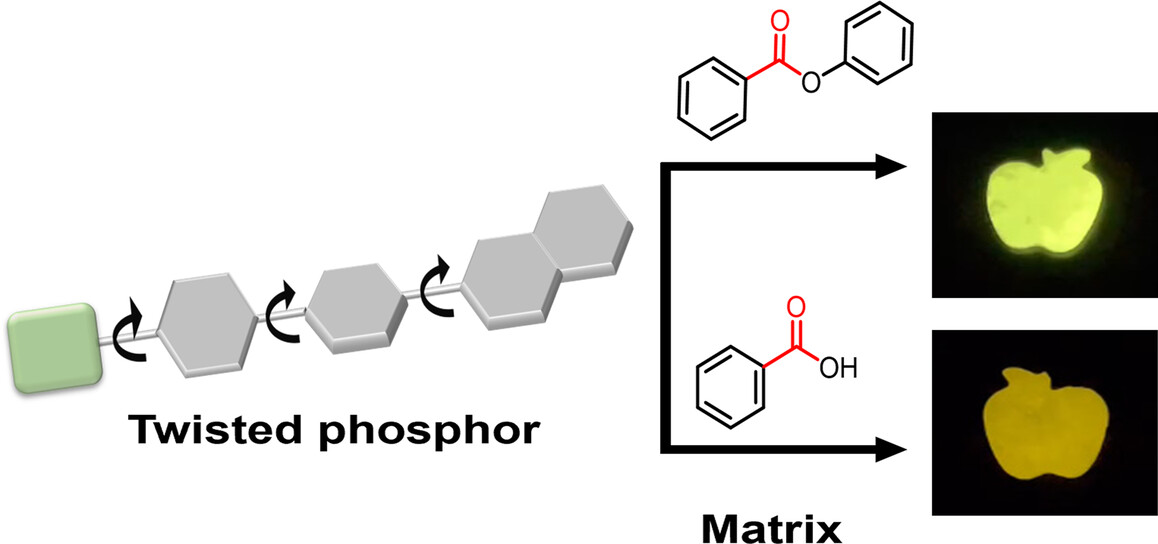 Twisted Phosphors that Violate Kasha's Exciton Model in Organic Systems