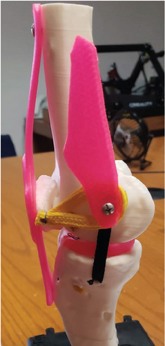 Details are in the caption following the image Details are in the caption following the image
