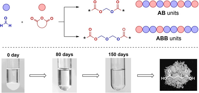 Water-Degradable Oxygen-Rich Polymers with AB/ABB Units from Fast and Selective Copolymerization