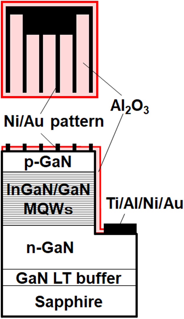 A Comparative Study of InGaN/GaN Multiple-Quantum-Well Solar Cells Grown on Sapphire and AlN Template by Metalorganic Chemical Vapor Deposition