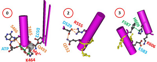 Details are in the caption following the image Details are in the caption following the image