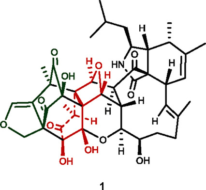 Epicochalasines A and B: Two Bioactive Merocytochalasans Bearing Caged Epicoccine Dimer Units from Aspergillus flavipes