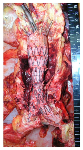 Details are in the caption following the image Details are in the caption following the image