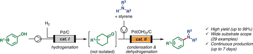 Continuous Synthesis of Aryl Amines from Phenols Utilizing Integrated Packed-Bed Flow Systems