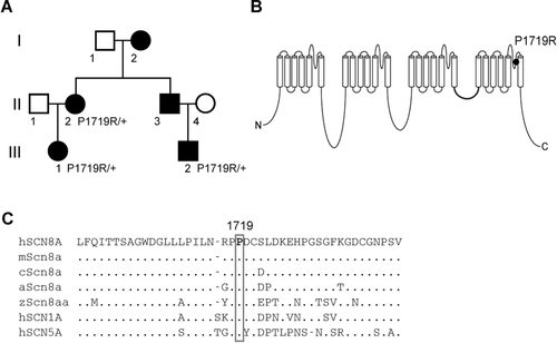 Details are in the caption following the image