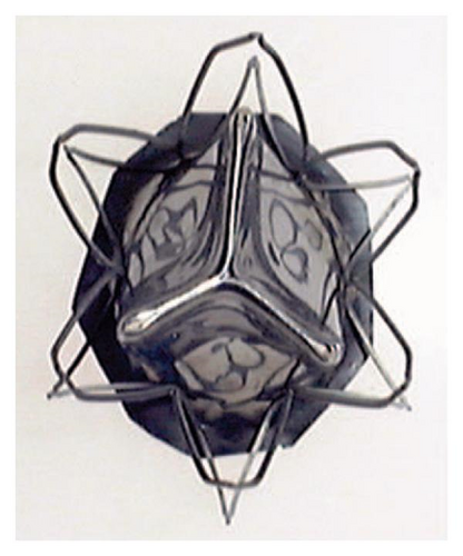 Details are in the caption following the image
