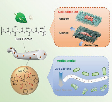 Extracellular Matrix-Inspired Antibacterial Fibrous Hydrogels Containing Polyhexamethylene Biguanide and Gd3+