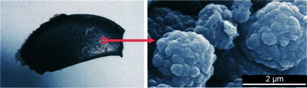 Nanocomposites Prepared by Twin Polymerization of a Single-Source Monomer