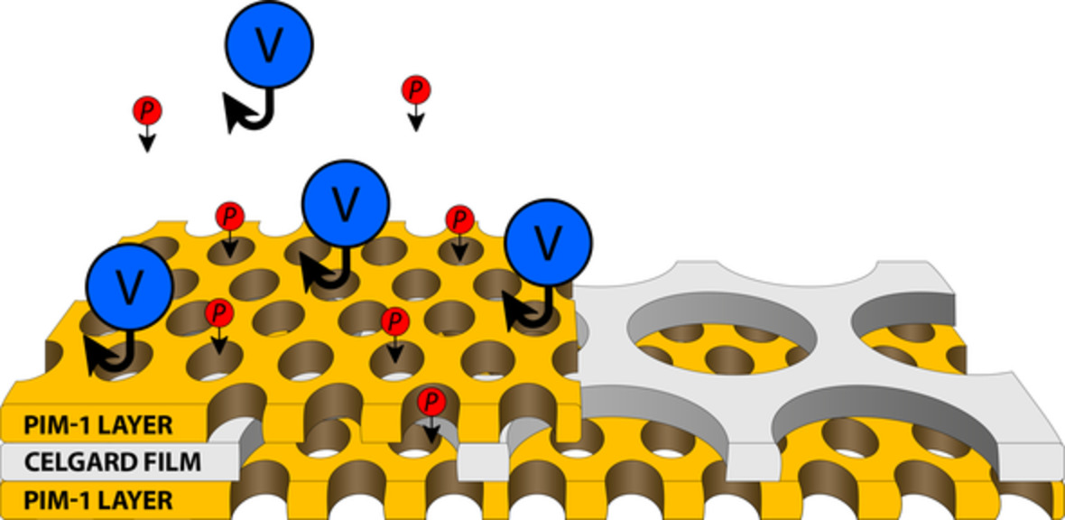 Celgard/PIM-1 proton conducting composite membrane with reduced vanadium permeability