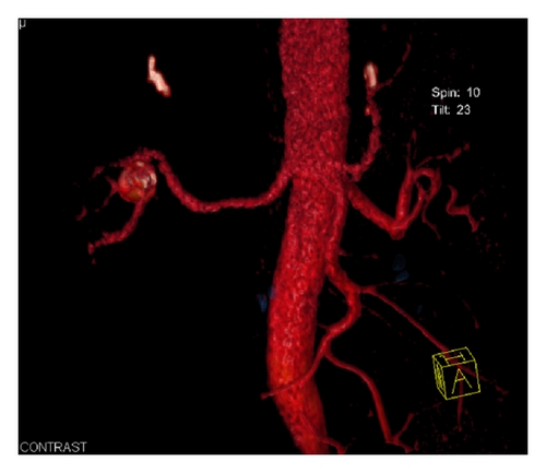 Details are in the caption following the image Details are in the caption following the image