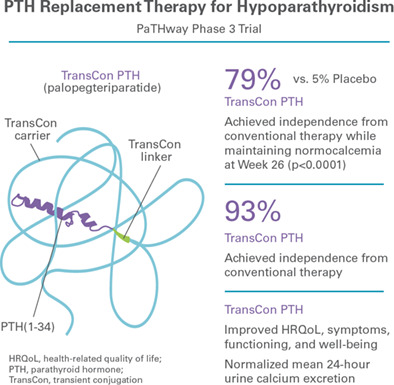 Efficacy and Safety of Parathyroid Hormone Replacement With TransCon PTH in Hypoparathyroidism: 26-Week Results From the Phase 3 PaTHway Trial
