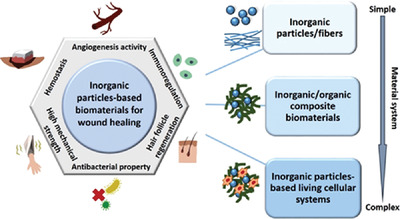 Bioactive inorganic particles-based biomaterials for skin tissue engineering