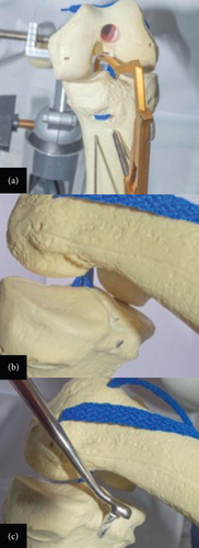 Details are in the caption following the image Details are in the caption following the image