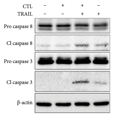Details are in the caption following the image