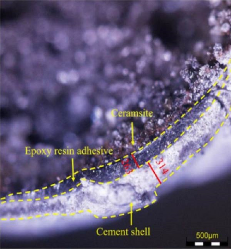 Details are in the caption following the image