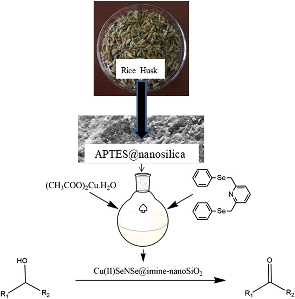 Bio-derived nanosilica-anchored Cu(II)-organoselenium complex as an efficient retrievable catalyst for alcohol oxidation