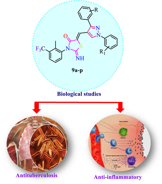 Synthesis, antimycobacterial, cytotoxicity, anti-inflammatory, in silico studies and molecular dynamics of pyrazole-embedded thiazolidin-4-one hybrids
