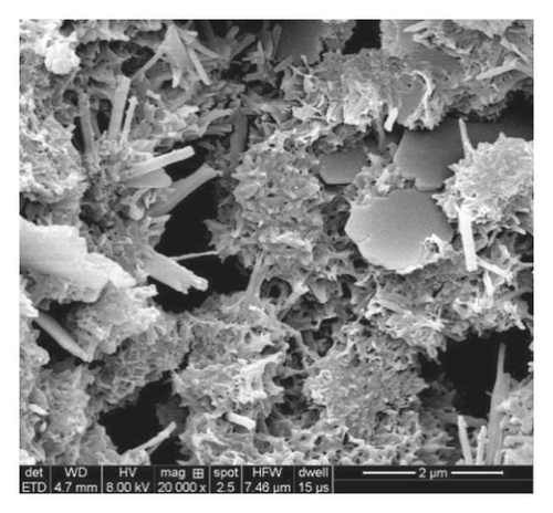 Details are in the caption following the image