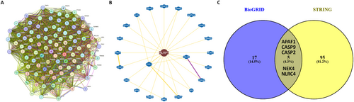 Details are in the caption following the image Details are in the caption following the image