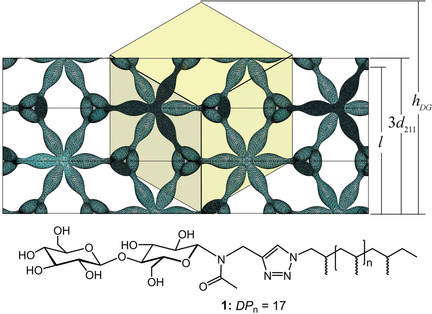 Stable Thermotropic 3D and 2D Double Gyroid Nanostructures with Sub-2-nm Feature Size from Scalable Sugar–Polyolefin Conjugates
