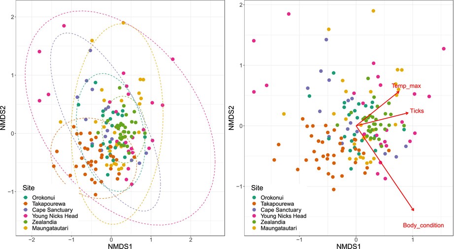Gut microbiome of the sole surviving member of reptile order Rhynchocephalia reveals biogeographic variation, influence of host body condition and a substantial core microbiota in tuatara across New Zealand