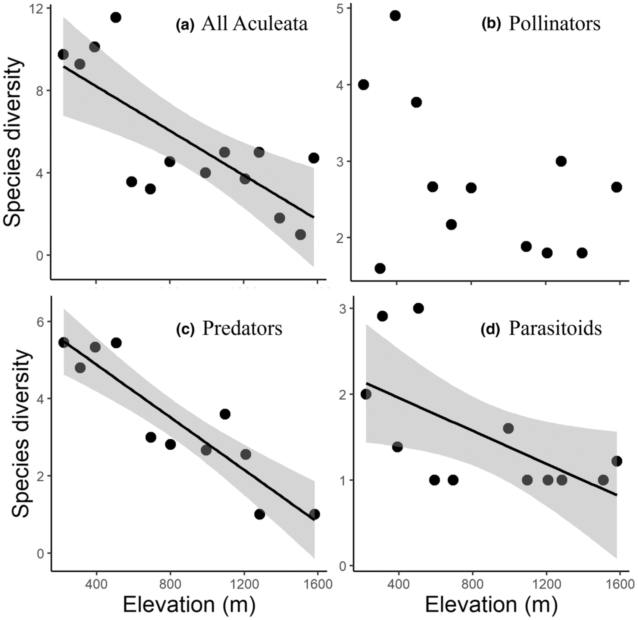 Differences in functional trait responses to elevation among feeding guilds of Aculeata community