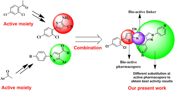 Novel pyrazole-clubbed thiophene derivatives via Gewald synthesis as antibacterial and anti-inflammatory agents