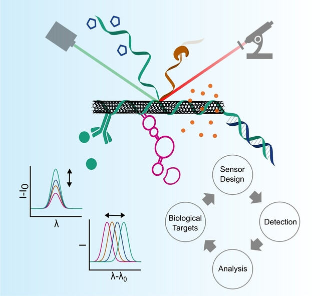 Biosensing with Fluorescent Carbon Nanotubes