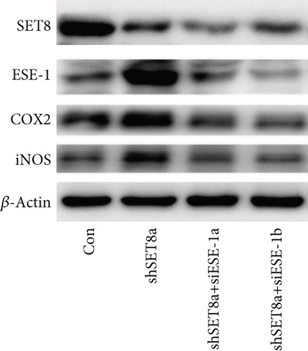 Details are in the caption following the image
