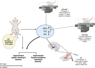 Amelioration of Chronic Ethanol Administration-Induced Learning and Memory Impairments by High-Intensity Interval Training (HIIT) and Ritalin