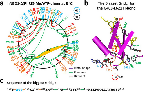 Details are in the caption following the image Details are in the caption following the image