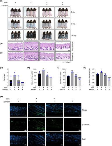 Details are in the caption following the image Details are in the caption following the image