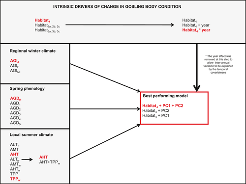 Details are in the caption following the image Details are in the caption following the image