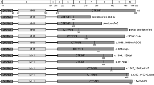 Details are in the caption following the image Details are in the caption following the image