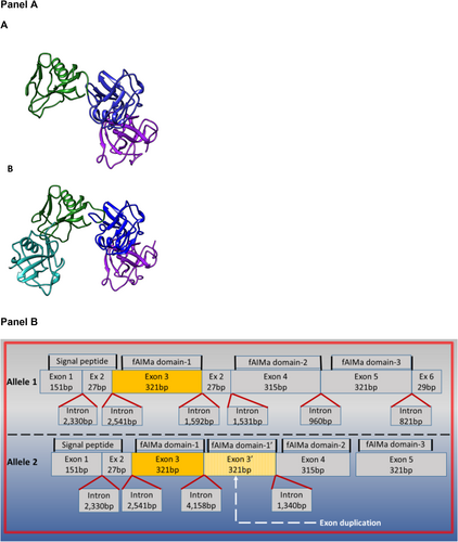 Details are in the caption following the image Details are in the caption following the image