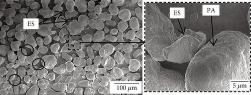 Details are in the caption following the image Details are in the caption following the image