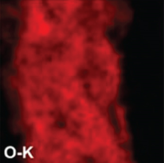 Details are in the caption following the image