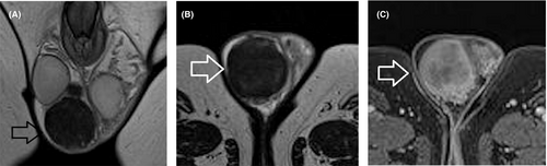 Details are in the caption following the image Details are in the caption following the image