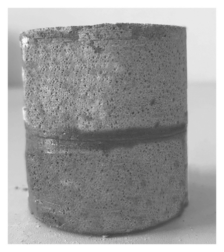 Details are in the caption following the image Details are in the caption following the image
