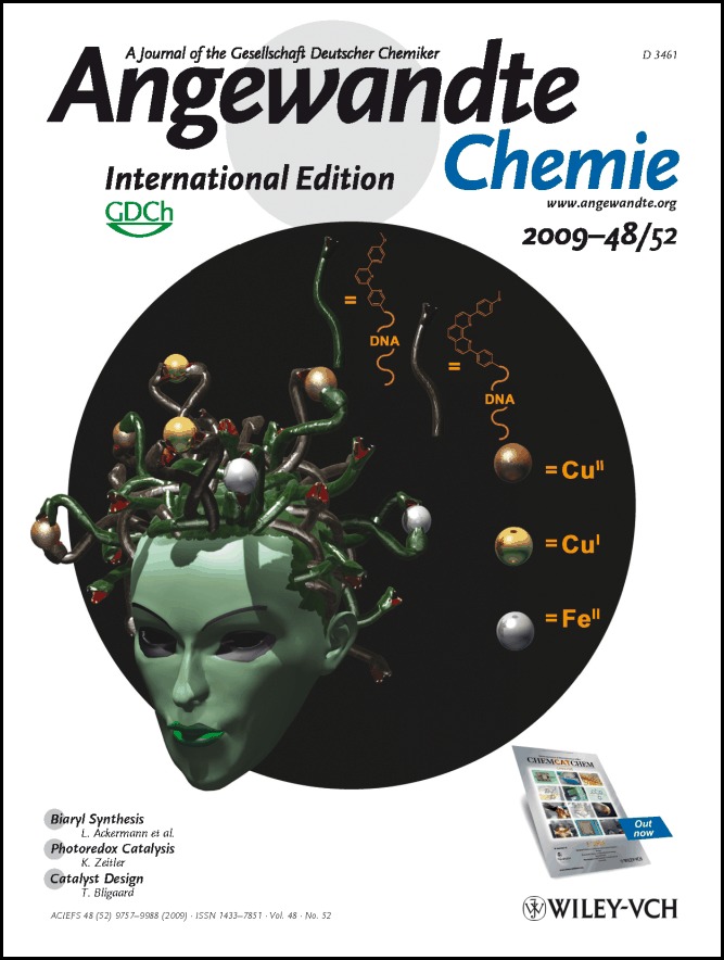 Cover Picture: Templated Ligand Environments for the Selective Incorporation of Different Metals into DNA (Angew. Chem. Int. Ed. 52/2009)