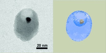 Dynamic Inclusion Complexes of Metal Nanoparticles Inside Nanocups