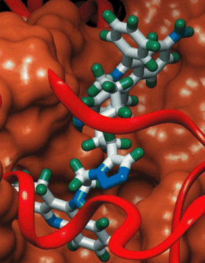 Click Chemistry In Situ: Acetylcholinesterase as a Reaction Vessel for the Selective Assembly of a Femtomolar Inhibitor from an Array of Building Blocks
