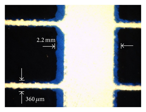 Details are in the caption following the image Details are in the caption following the image