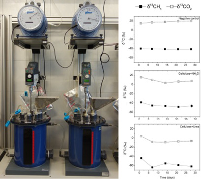 Ammonium Chloride vs Urea-Induced Ammonia Inhibition of the Biogas Process Assessed by Stable Isotope Analysis