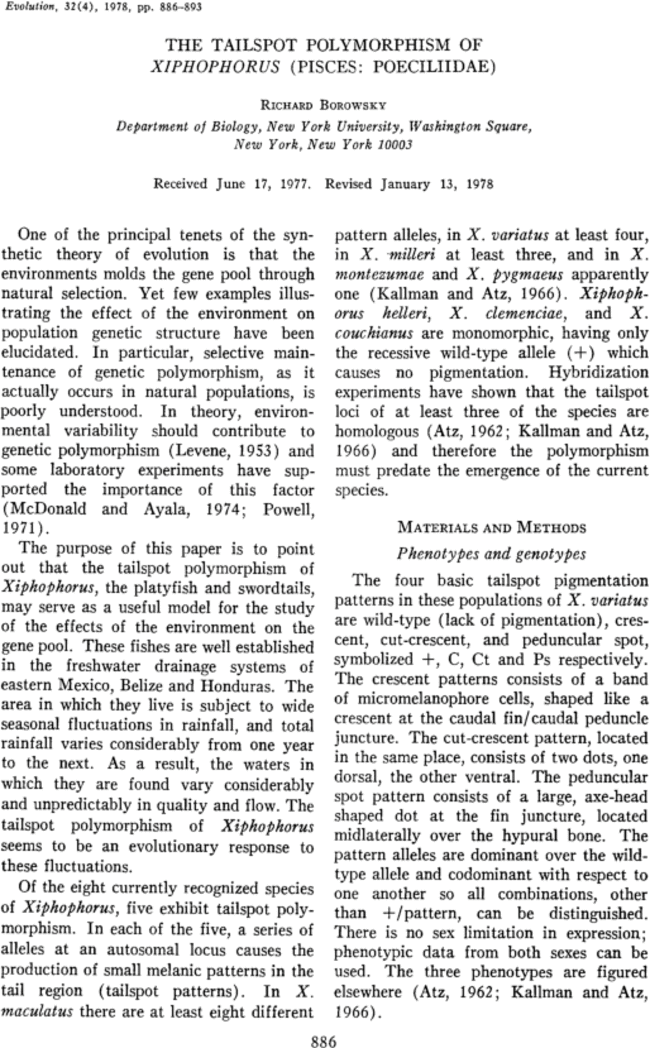 First page image