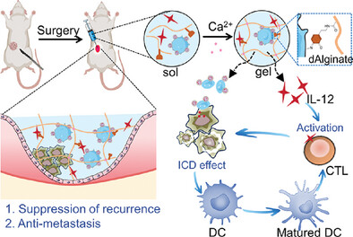 Platelet Activation-Induced In Situ Trapping Metastatic Tumor Cells Strategy for Post-Surgery Tumor Recurrence Immunochemotherapy