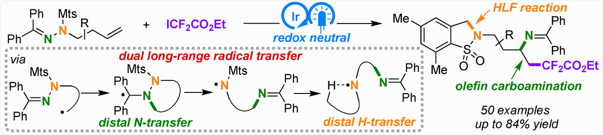 Integrating Olefin Carboamination and Hofmann-Löffler-Freytag Reaction by Radical Deconstruction of Hydrazonyl N−N Bond