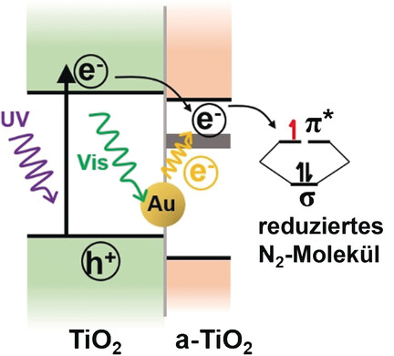 Promoted Fixation of Molecular Nitrogen with Surface Oxygen Vacancies on Plasmon-Enhanced TiO2 Photoelectrodes
