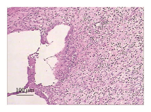 Details are in the caption following the image